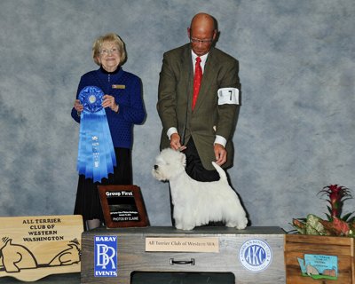 Terrier Group First