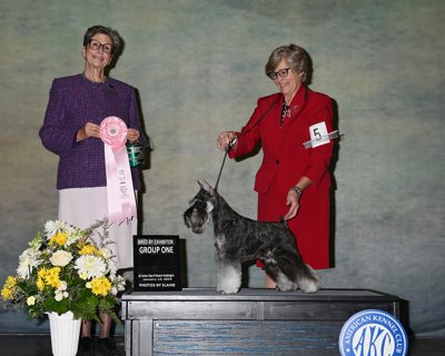 Bred By Exhibitor Group First